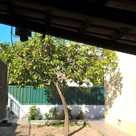 Casa Do Limoeiro Bed and breakfast *