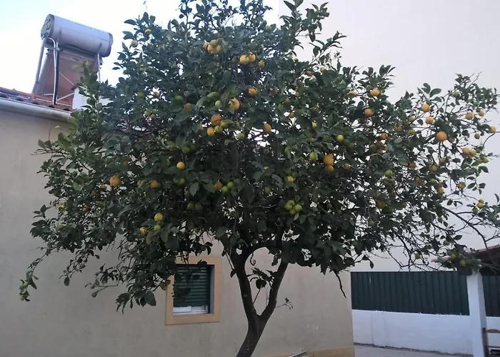 住宿加早餐酒店 卡萨利穆埃鲁旅馆 Quinta do Conde